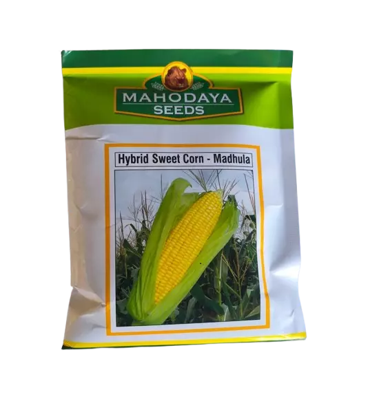 Hybrid Sweet Corn Madhula by Mahodaya Seeds