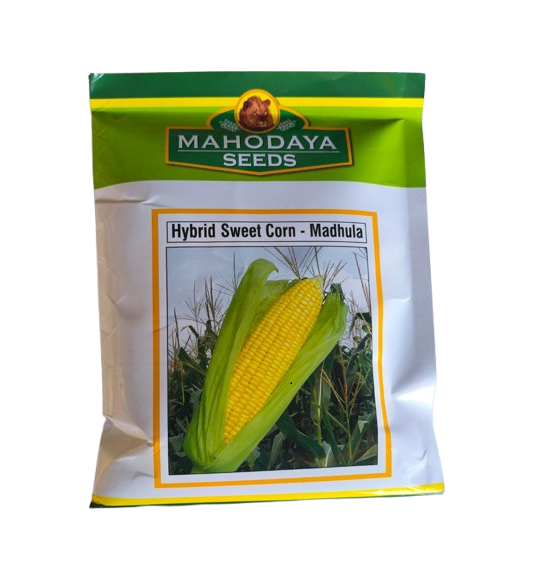Hybrid Sweet Corn Madhula by Mahodaya Seeds