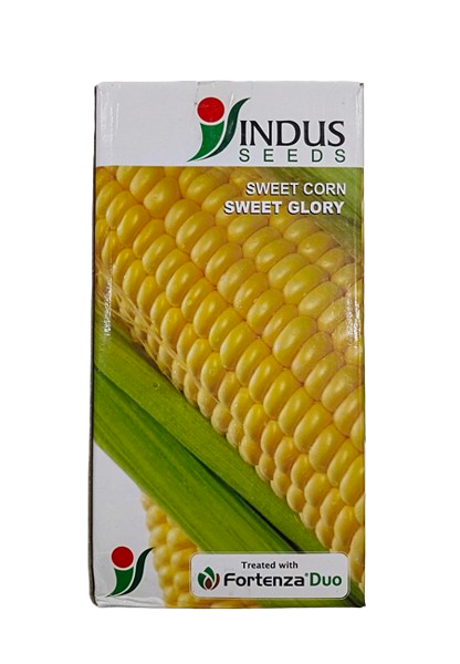 Sweetcorn SWEET GLORY by INDUS SEEDS
