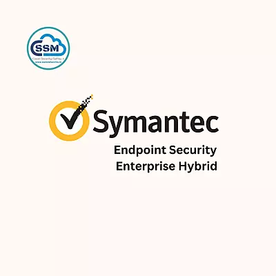 Symantec Endpoint Security Enterprise Hybrid Subs. Lic 1yr ESD (SES-SUB)