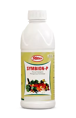 SYMBION-P by STANES AND COMPANY