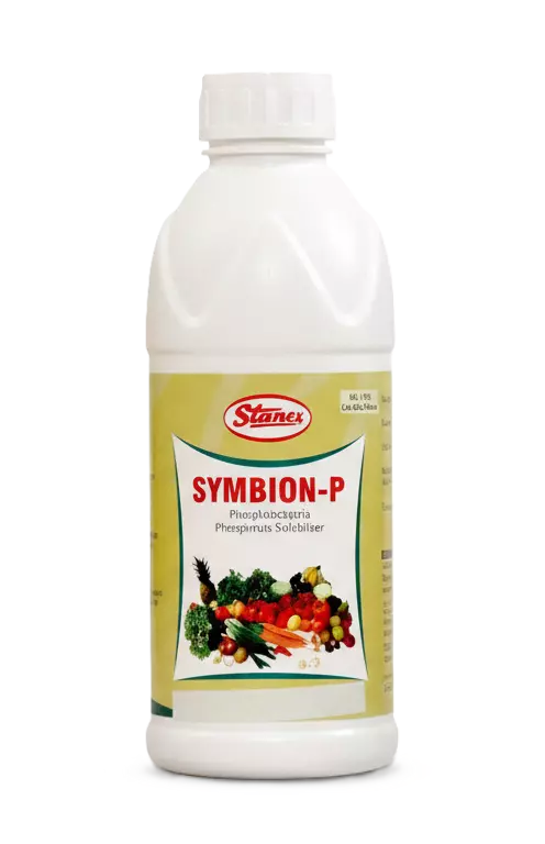 SYMBION-P by STANES AND COMPANY