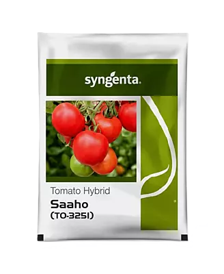 SAAHO (TO 3251) HYBRID TOMATO SEED by Syngenta