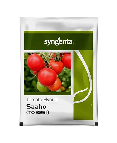 SAAHO (TO 3251) HYBRID TOMATO SEED by Syngenta