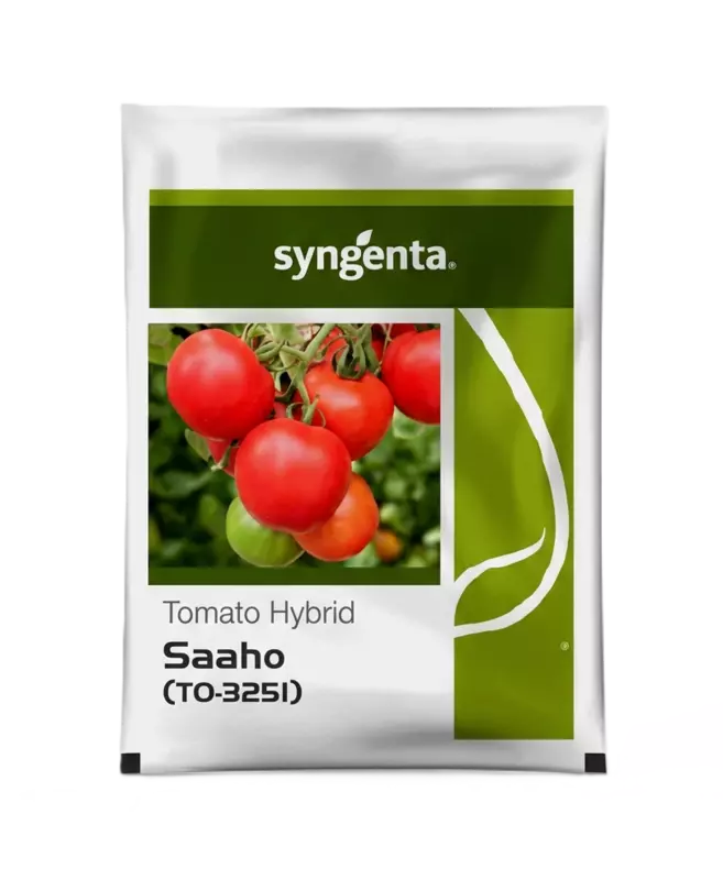 SAAHO (TO 3251) HYBRID TOMATO SEED by Syngenta