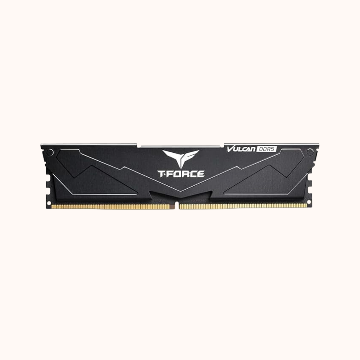 T-FORCE BLACK 32GB 6000 DDR-5 FLBD532G6000HC38A01