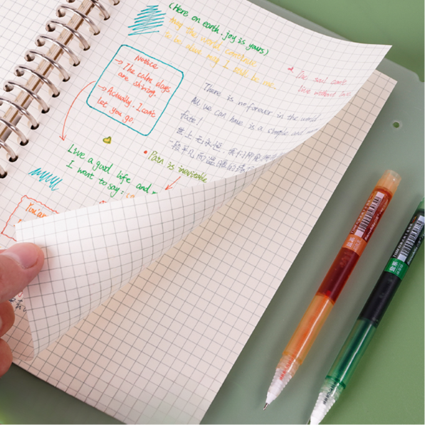 Snowhite T16M Morandi Rollerball Pen 0.5