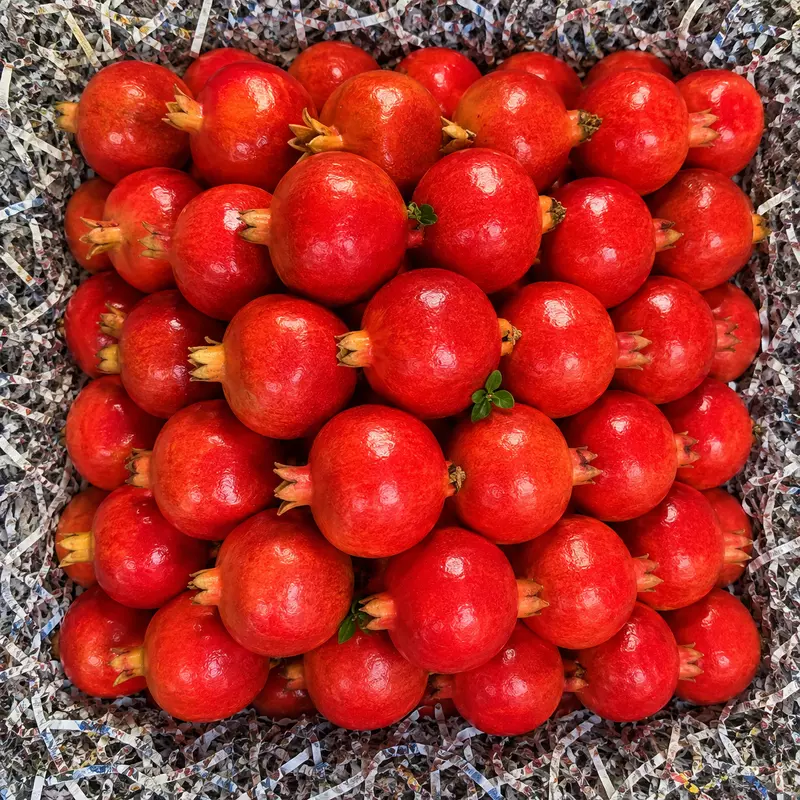 Anar | 18 Dana | Premium Quality |TBS