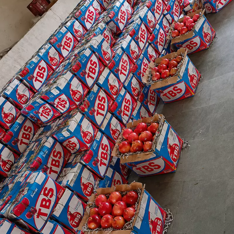Anar | 24 Dana | Premium Quality | TBS
