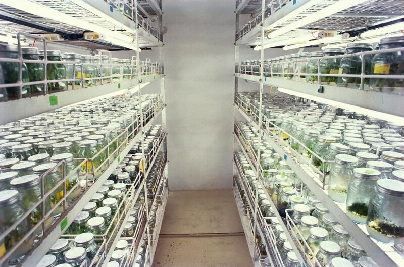 Tissue Culture Lab Setup & Retrofit