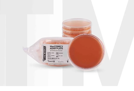 MacCONKEY AGAR PLATE