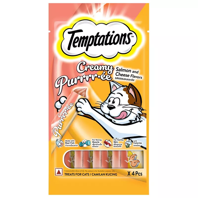Temptations Salmon and Cheese Treats for Cats