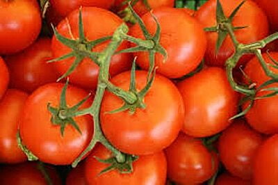 TOMATO 500 Gms