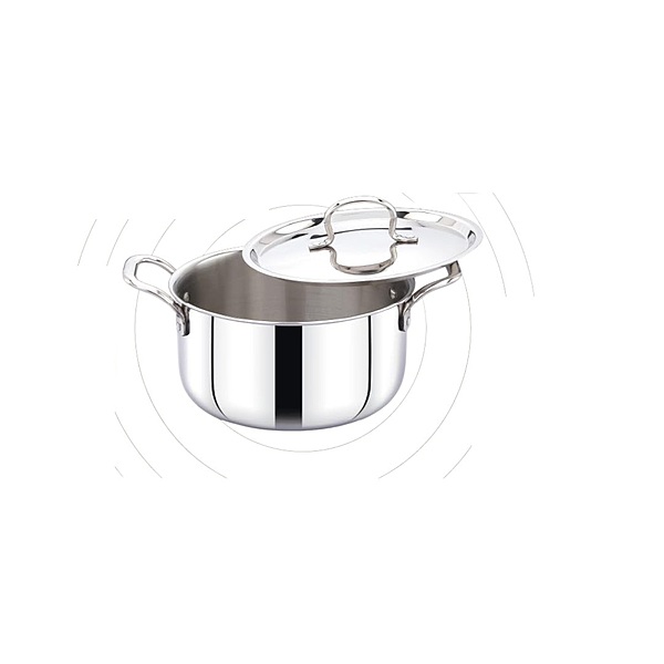 Onions Triply Stainless Steel Stew Pot with Lid, 3-Layer Induction and Gas Compatible