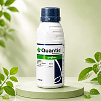 Syngenta QUANTIS® Biostimulant | Vetrivel Agro Services