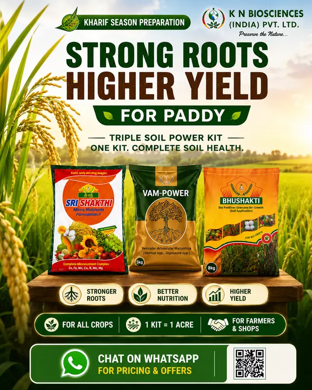TRIPLE SOIL POWER KIT - DEALER EDITION