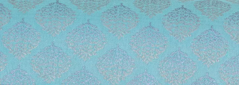 Aqua blue silk saree with sky blue zari pallu and floral zari border