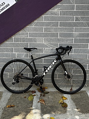FULL TFN Rental Trek Domane AL5 Size 52