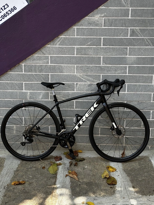 FULL TFN Rental Trek Domane AL5 Size 52