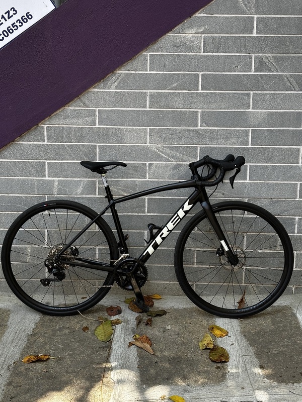 FULL TFN Rental Trek Domane AL5 Size 52