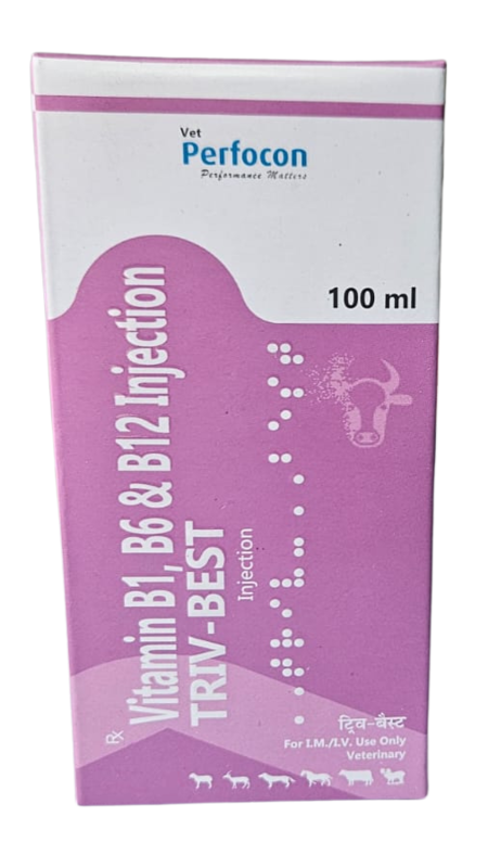 VITAMIN B1 B6 B12 100ml INJ