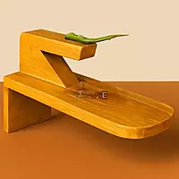 Tabletop Coconut Scraper