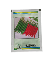 Chilli Talwar