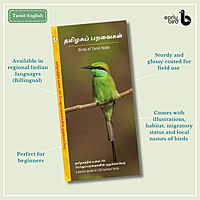 Early Bird Pocket Guides - Bulk Purchase of 50 Early Bird Pocket Guides - Bulk Purchase of 50