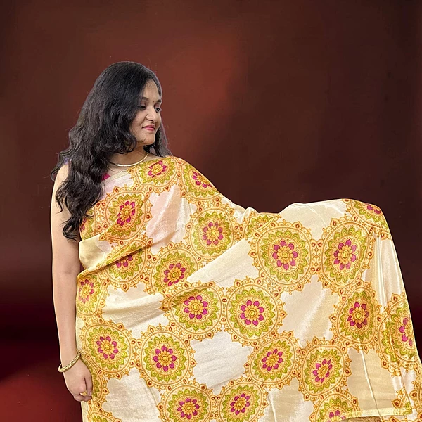 Tarini | NAVA JYOTI Organza Saree