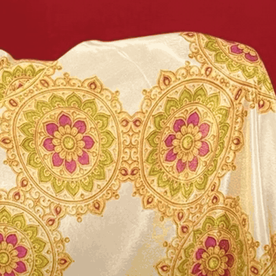 Tarini | NAVA JYOTI Organza Saree