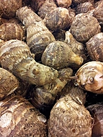 Taro Root చామగడ్డ