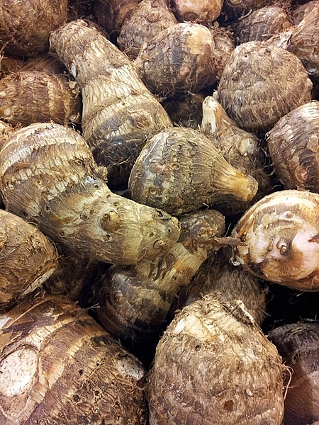 Taro Root చామగడ్డ