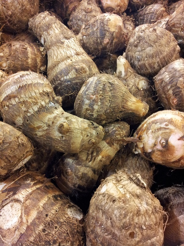 Taro Root చామగడ్డ