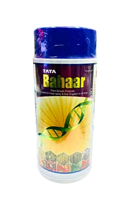 TATA Bahaar