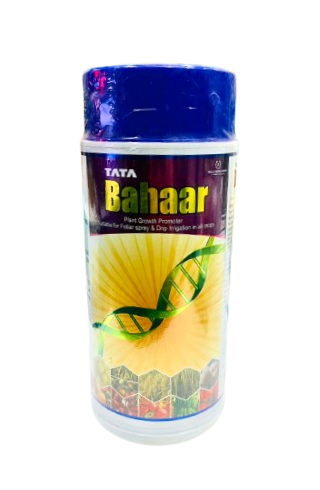 TATA Bahaar