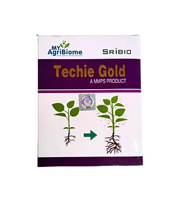 Techie Gold-500gm