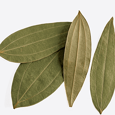 Raaja - Tej Patta (Bay Leaf) 10gms