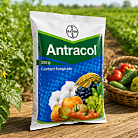 Bayer Antracol® 70 WP (Propineb 70% WP) | Vetrivel Agro Services