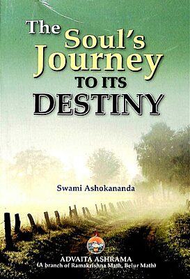 The Soul's Journey to Its Destiny