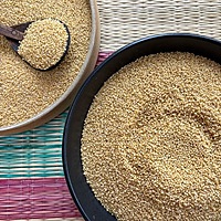 Thinai Foxtail Millet