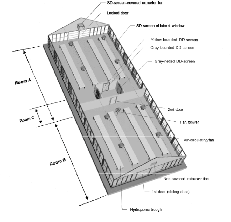 Polyhouse Internal Partition & Bay Separation Works