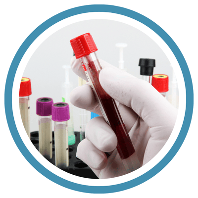 BLOOD CULTURE - BACTEC PLUS BLOOD CULTURE - BACTEC PLUS