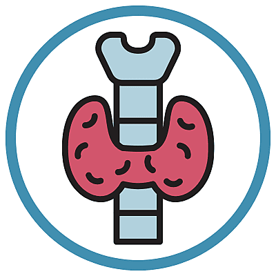 Thyroid Profile Total (T3, T4 & TSH)