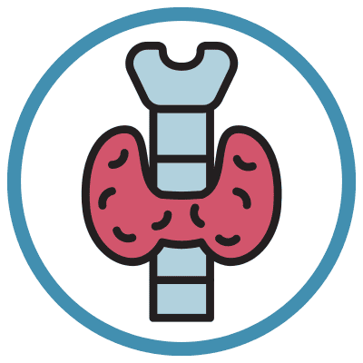 Thyroid Profile Total (T3, T4 & TSH)