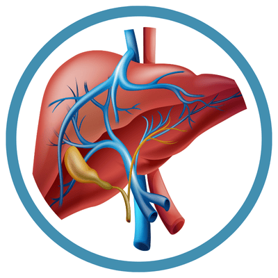 LIVER FUNCTION PROFILE LIVER FUNCTION PROFILE
