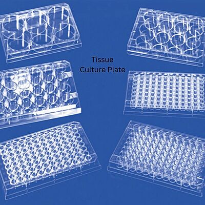 Tissue Culture Plate - PL