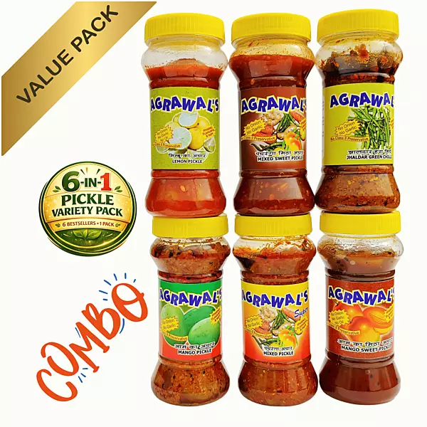 AGRAWAL'S Mini Spicy Delight Combo 6 in 1