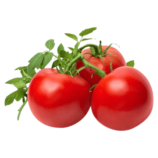 Tomato (Thakkali)