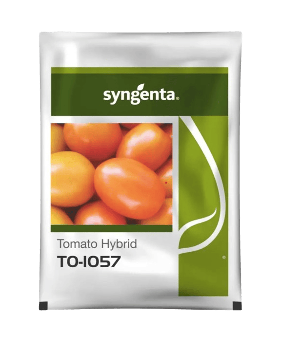 Hybrid Tomato TO 1057 Seeds by Sygenta