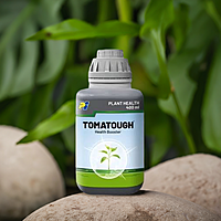 Tomatough by PI Industries